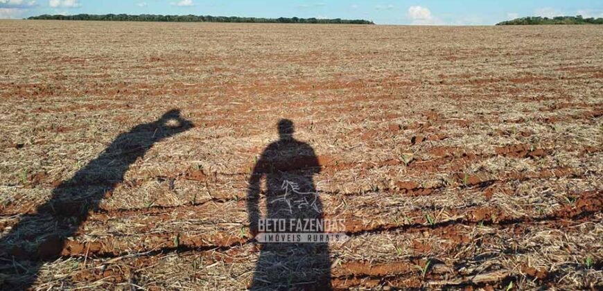Fazenda para Arrendamento 7.000 has Lavoura de Soja, Milho e Algodão | Sinop/MT