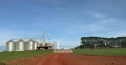 Fazenda para Arrendamento 7.000 has Lavoura de Soja, Milho e Algodão | Sinop/MT
