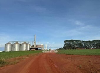 Fazenda para Arrendamento 7.000 has Lavoura de Soja, Milho e Algodão | Sinop/MT