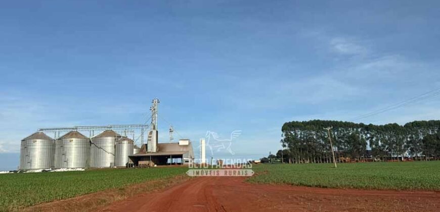 Fazenda para Arrendamento 7.000 has Lavoura de Soja, Milho e Algodão | Sinop/MT