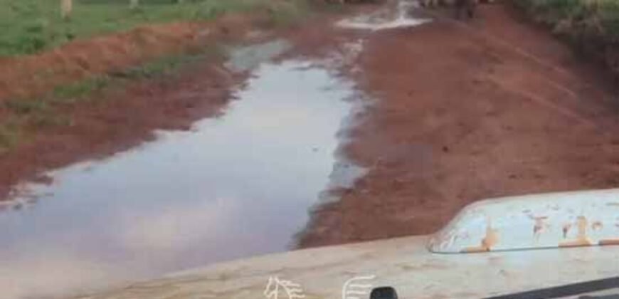 Fazenda à Venda 2.900 Hectares Potência de Dupla Aptidão Lavoura e Pecuária no interior de Santa Catariana