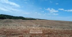 Fazenda à Venda 2.900 Hectares Potência de Dupla Aptidão Lavoura e Pecuária no interior de Santa Catariana