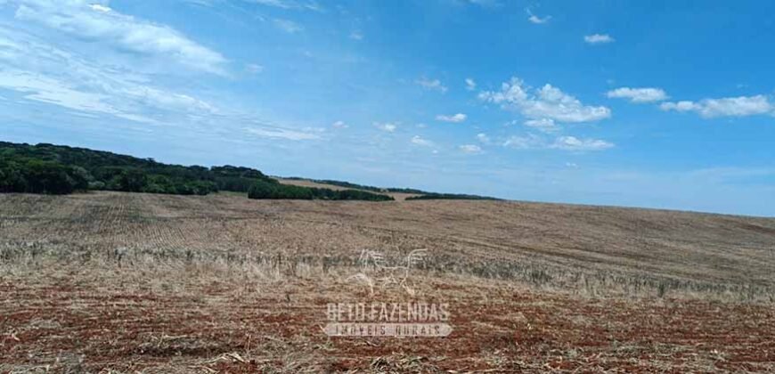 Fazenda à Venda 2.900 Hectares Potência de Dupla Aptidão Lavoura e Pecuária no interior de Santa Catariana
