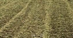 Fazenda à Venda 2.900 Hectares Potência de Dupla Aptidão Lavoura e Pecuária no interior de Santa Catariana