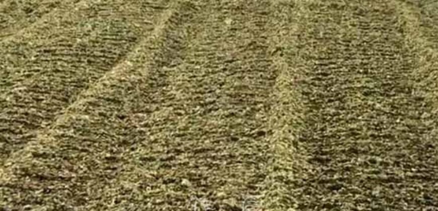 Fazenda à Venda 2.900 Hectares Potência de Dupla Aptidão Lavoura e Pecuária no interior de Santa Catariana
