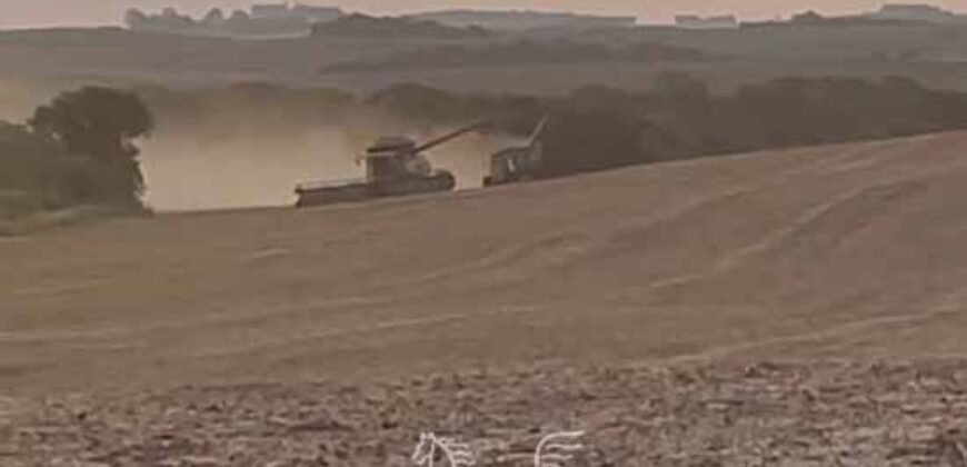 Fazenda à Venda 2.900 Hectares Potência de Dupla Aptidão Lavoura e Pecuária no interior de Santa Catariana