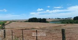 Fazenda à Venda 2.900 Hectares Potência de Dupla Aptidão Lavoura e Pecuária no interior de Santa Catariana