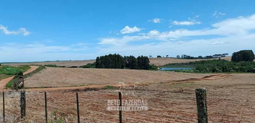 Fazenda à Venda 2.900 Hectares Potência de Dupla Aptidão Lavoura e Pecuária no interior de Santa Catariana