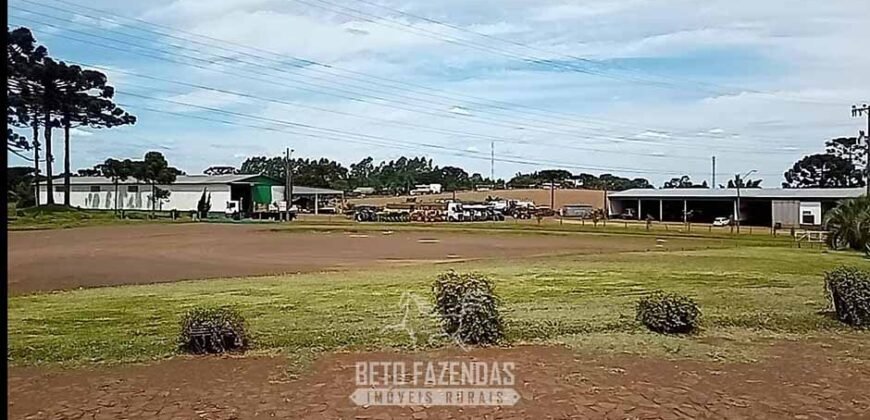 Fazenda à Venda 2.900 Hectares Potência de Dupla Aptidão Lavoura e Pecuária no interior de Santa Catariana