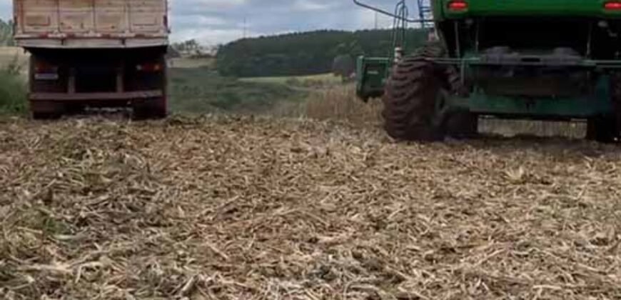 Fazenda à Venda 2.900 Hectares Potência de Dupla Aptidão Lavoura e Pecuária no interior de Santa Catariana