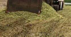 Fazenda à Venda 2.900 Hectares Potência de Dupla Aptidão Lavoura e Pecuária no interior de Santa Catariana