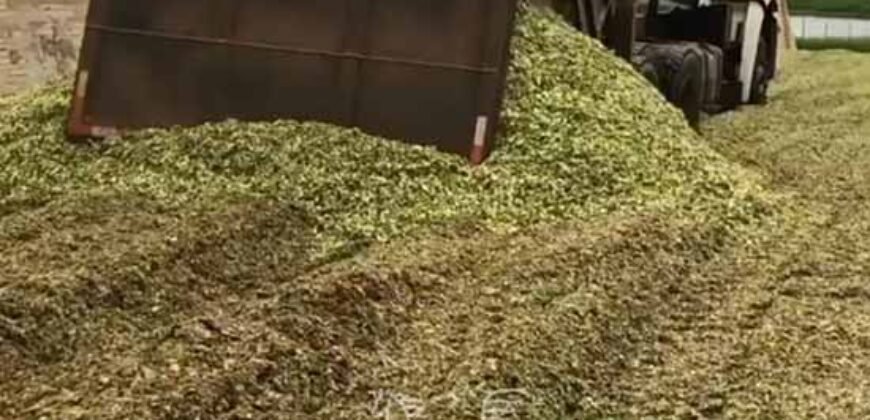 Fazenda à Venda 2.900 Hectares Potência de Dupla Aptidão Lavoura e Pecuária no interior de Santa Catariana