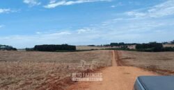 Fazenda à Venda 2.900 Hectares Potência de Dupla Aptidão Lavoura e Pecuária no interior de Santa Catariana