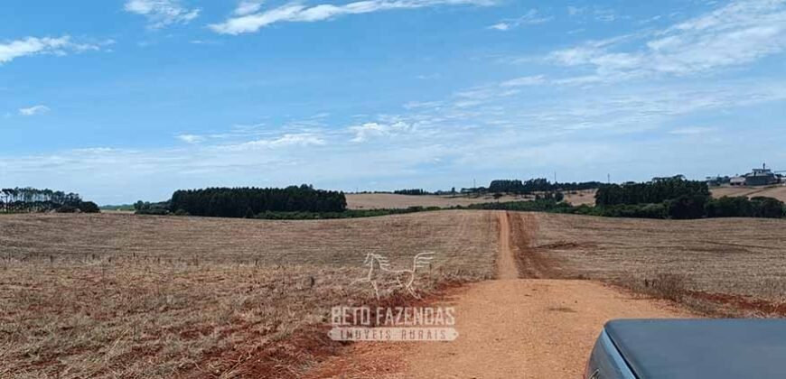 Fazenda à Venda 2.900 Hectares Potência de Dupla Aptidão Lavoura e Pecuária no interior de Santa Catariana