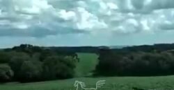Fazenda à Venda 2.900 Hectares Potência de Dupla Aptidão Lavoura e Pecuária no interior de Santa Catariana
