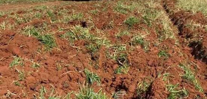 Fazenda à Venda 2.900 Hectares Potência de Dupla Aptidão Lavoura e Pecuária no interior de Santa Catariana