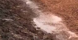 Fazenda à Venda 2.900 Hectares Potência de Dupla Aptidão Lavoura e Pecuária no interior de Santa Catariana