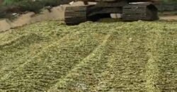 Fazenda à Venda 2.900 Hectares Potência de Dupla Aptidão Lavoura e Pecuária no interior de Santa Catariana