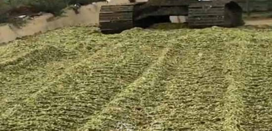 Fazenda à Venda 2.900 Hectares Potência de Dupla Aptidão Lavoura e Pecuária no interior de Santa Catariana