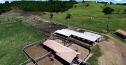 Fazenda à Venda Dupla Aptidão Lavoura e Pecuária Raridade no interior do Paraná