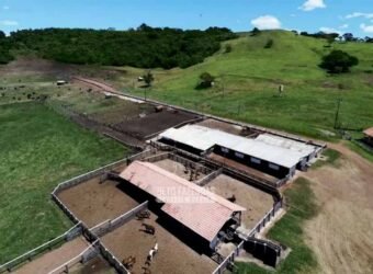 Fazenda à Venda Dupla Aptidão Lavoura e Pecuária Raridade no interior do Paraná
