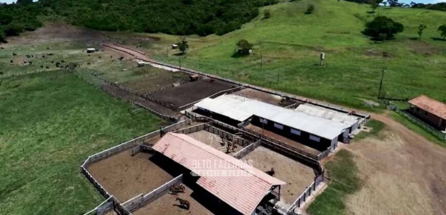 Fazenda à Venda Dupla Aptidão Lavoura e Pecuária Raridade no interior do Paraná