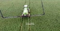 Fazenda à Venda Dupla Aptidão Lavoura e Pecuária Raridade no interior do Paraná