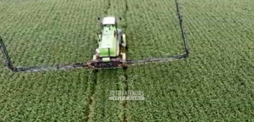 Fazenda à Venda Dupla Aptidão Lavoura e Pecuária Raridade no interior do Paraná