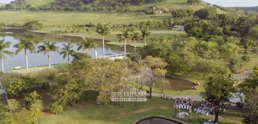 Fazenda à Venda Dupla Aptidão Lavoura e Pecuária Raridade no interior do Paraná