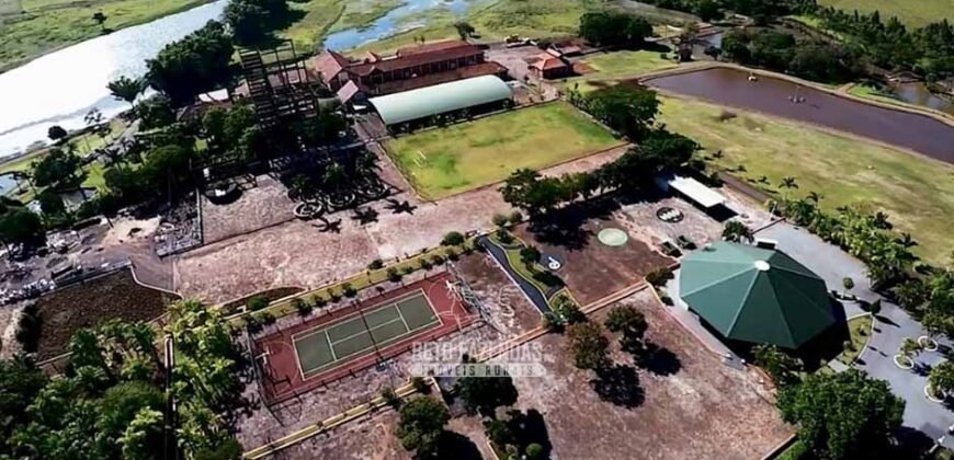 Fazenda à Venda Dupla Aptidão Lavoura e Pecuária Raridade no interior do Paraná