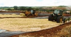 Fazenda à Venda Dupla Aptidão Lavoura e Pecuária Raridade no interior do Paraná