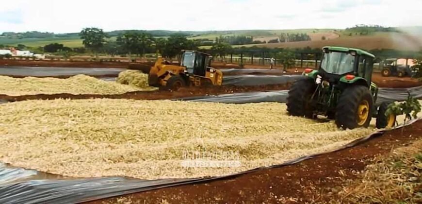 Fazenda à Venda Dupla Aptidão Lavoura e Pecuária Raridade no interior do Paraná