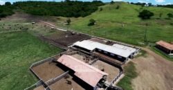 Fazenda à Venda Dupla Aptidão Lavoura e Pecuária Raridade no interior do Paraná
