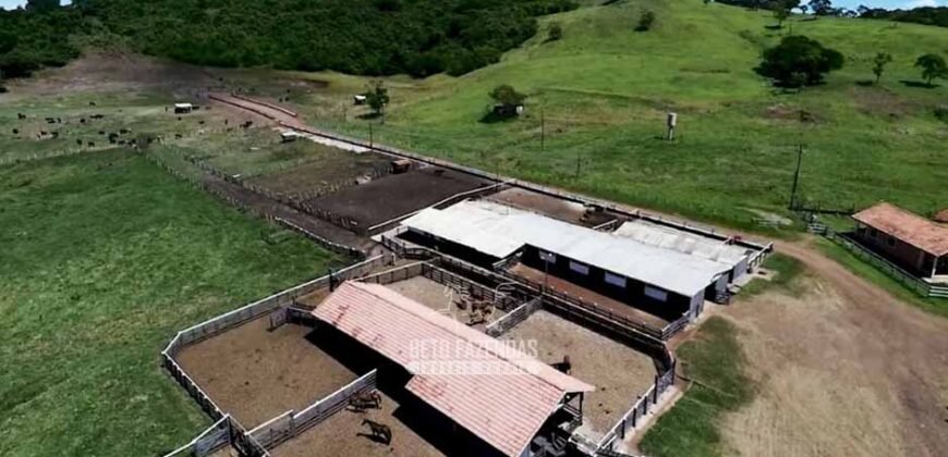 Fazenda à Venda Dupla Aptidão Lavoura e Pecuária Raridade no interior do Paraná
