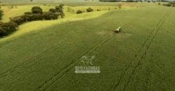Fazenda à Venda Dupla Aptidão Lavoura e Pecuária Raridade no interior do Paraná