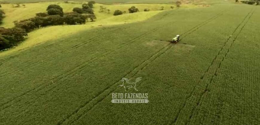 Fazenda à Venda Dupla Aptidão Lavoura e Pecuária Raridade no interior do Paraná