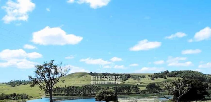 Fazenda à Venda Dupla Aptidão Lavoura e Pecuária Raridade no interior do Paraná