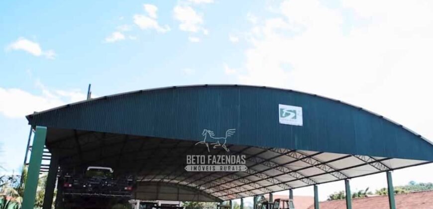 Fazenda à Venda Dupla Aptidão Lavoura e Pecuária Raridade no interior do Paraná