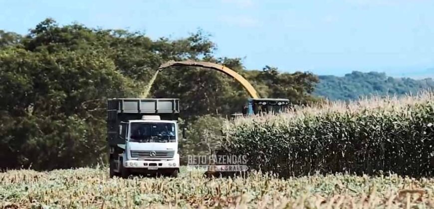 Fazenda à Venda Dupla Aptidão Lavoura e Pecuária Raridade no interior do Paraná