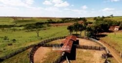 Fazenda à Venda Dupla Aptidão Lavoura e Pecuária Raridade no interior do Paraná