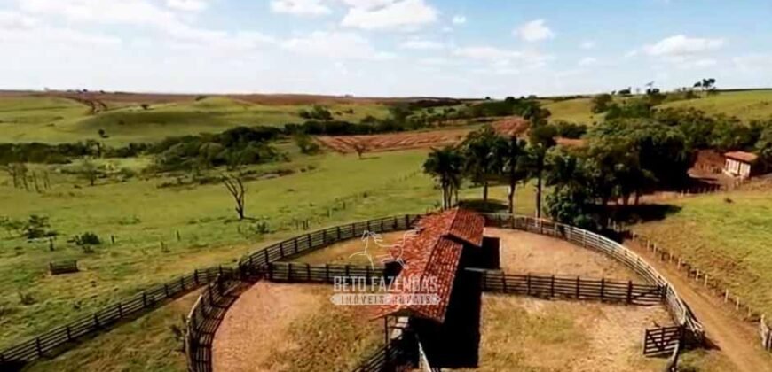 Fazenda à Venda Dupla Aptidão Lavoura e Pecuária Raridade no interior do Paraná