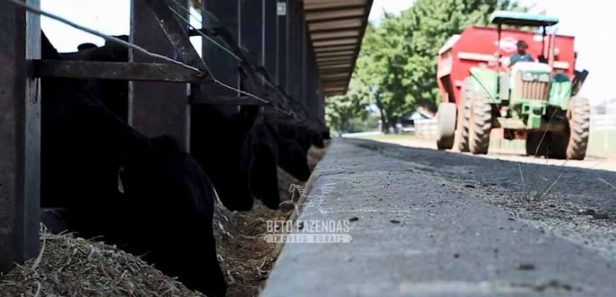 Fazenda à Venda Dupla Aptidão Lavoura e Pecuária Raridade no interior do Paraná