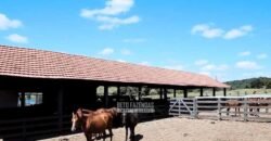 Fazenda à Venda Dupla Aptidão Lavoura e Pecuária Raridade no interior do Paraná