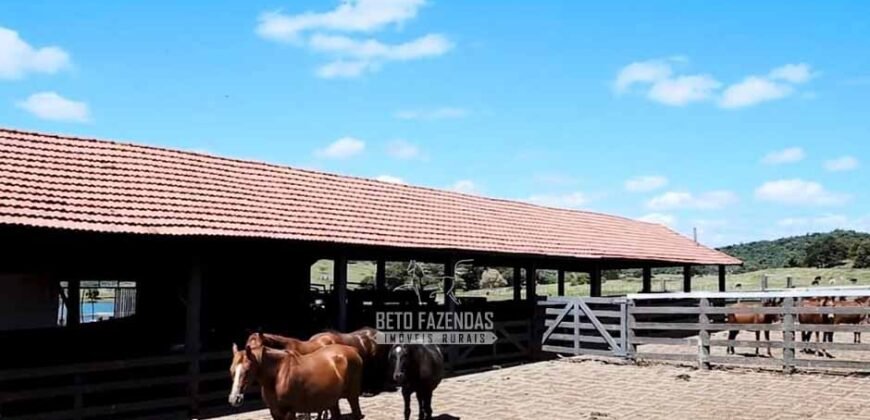 Fazenda à Venda Dupla Aptidão Lavoura e Pecuária Raridade no interior do Paraná