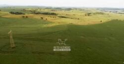 Fazenda à Venda Dupla Aptidão Lavoura e Pecuária Raridade no interior do Paraná