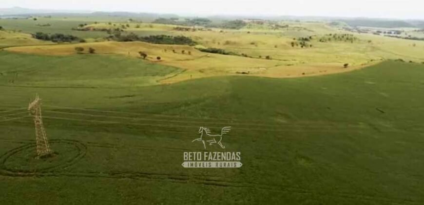 Fazenda à Venda Dupla Aptidão Lavoura e Pecuária Raridade no interior do Paraná
