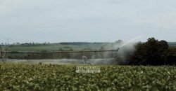 Fazenda à Venda Dupla Aptidão Lavoura e Pecuária Raridade no interior do Paraná