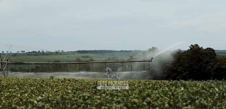 Fazenda à Venda Dupla Aptidão Lavoura e Pecuária Raridade no interior do Paraná