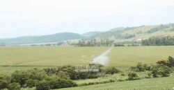 Fazenda à Venda Dupla Aptidão Lavoura e Pecuária Raridade no interior do Paraná