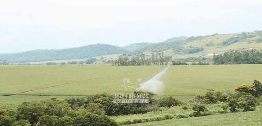 Fazenda à Venda Dupla Aptidão Lavoura e Pecuária Raridade no interior do Paraná